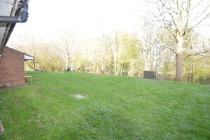 IMG_470_3_large.jpg