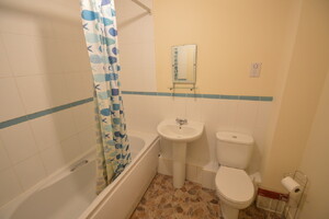 IMG_18_7_large.jpg