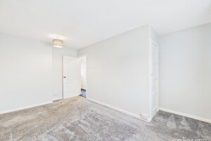 54125687.jpg