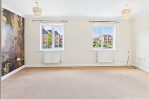 52084005.jpg