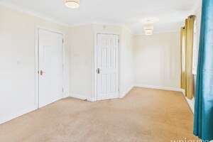 52084103.jpg