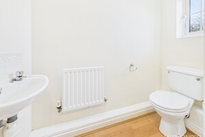 52084105.jpg