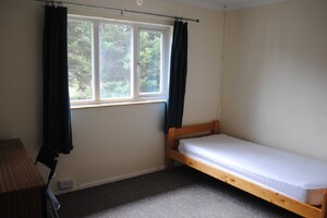 IMG_481_10_large.jpg