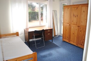 IMG_481_3_large.jpg