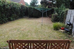 IMG_481_8_large.jpg