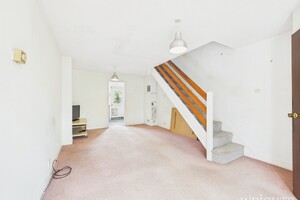 57167006.jpg