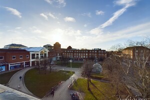 IMG_2421_7_large.jpg