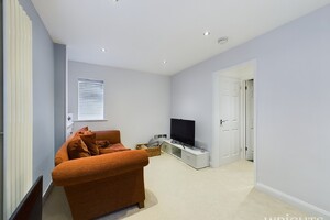 IMG_2408_1_large.jpg