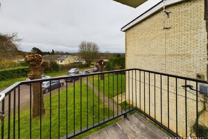 IMG_1085_9_large.jpg