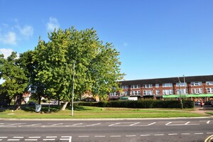 IMG_926_5_large.jpg