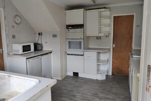IMG_571_2_large.jpg