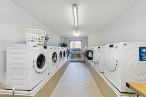 57731063.jpg