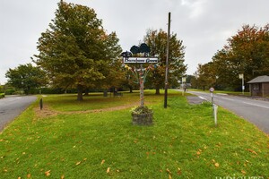 45021855.jpg