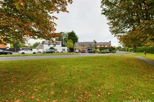45021856.jpg