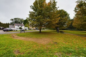 45022620.jpg