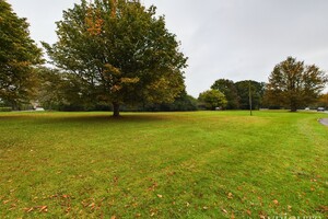45022621.jpg