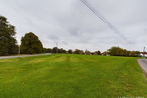 45022714.jpg