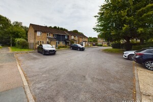 44003306.jpg