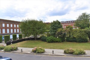IMG_2016_1_large.jpg