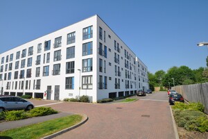 24541040.jpg