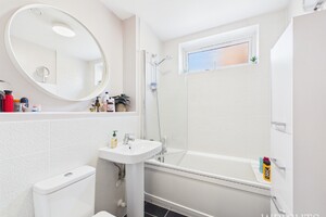 57927780.jpg