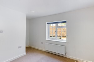 36135610.jpg
