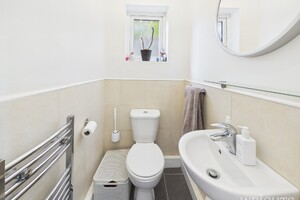 58035057.jpg