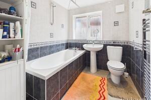57212445.jpg