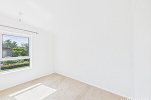 58073748.jpg