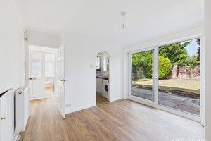 58074035.jpg