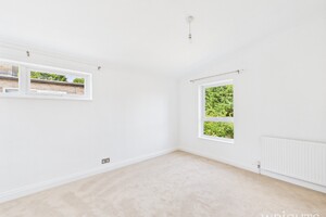 58074244.jpg