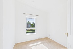 58074245.jpg