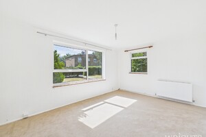 58075426.jpg