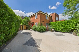 49820547.jpg