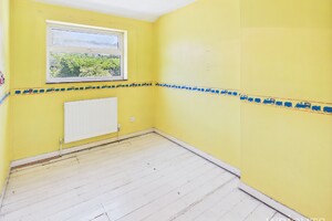 58155997.jpg