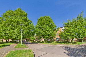 IMG_550_3_large.jpg
