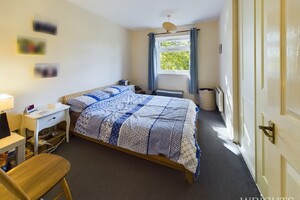 IMG_1681_1_large.jpg