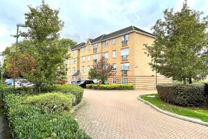IMG_104_17_large.jpg