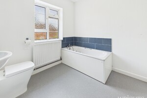 59107955.jpg