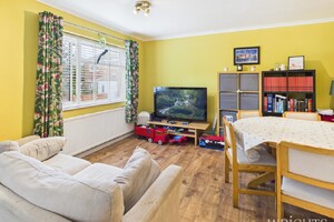 IMG_1166_7_large.jpg
