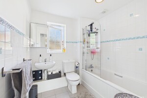 59207307.jpg