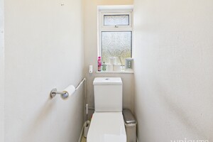 52341622.jpg