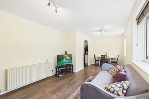 59362640.jpg