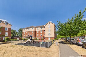 IMG_1625_1_large.jpg