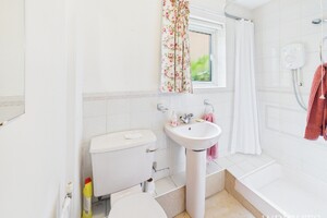 58580158.jpg