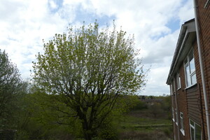 IMG_30_7_large.jpg