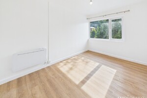 IMG_2509_5_large.jpg