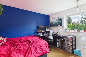 57869375.jpg