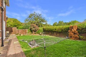 59952494.jpg