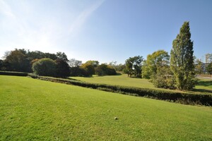 IMG_857_1_large.jpg